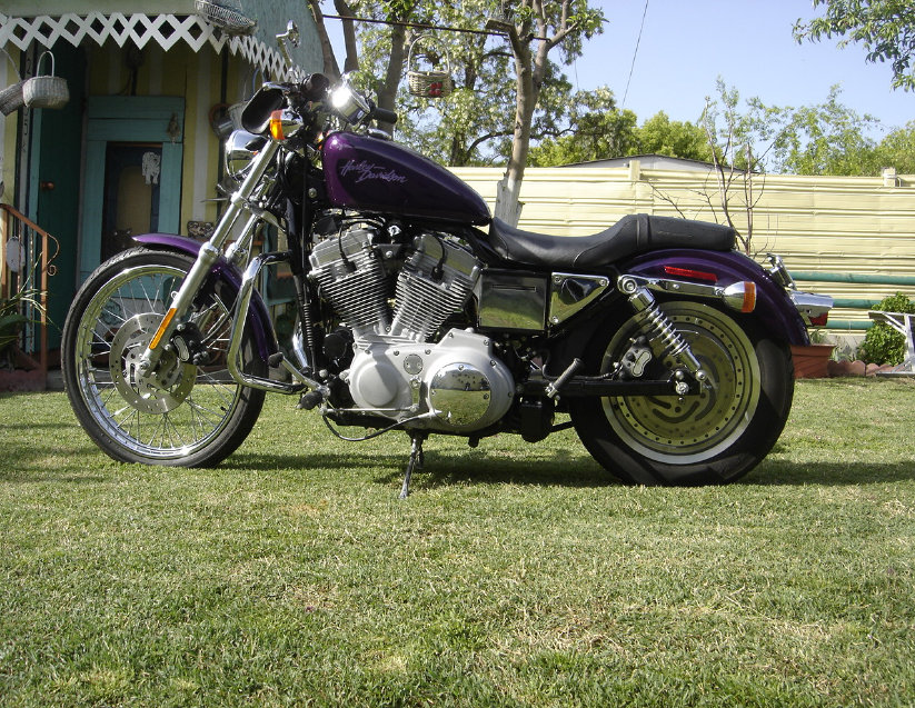 tmw_2026_aa026003.jpg